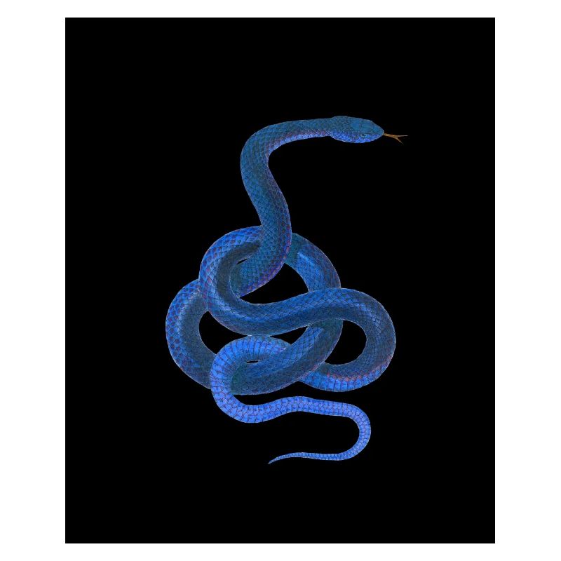 Blue snake