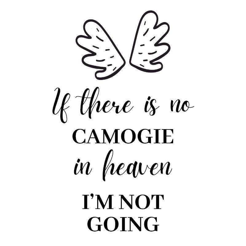 S’il n’y a pas de camogie au paradis. J’y vais pas.
