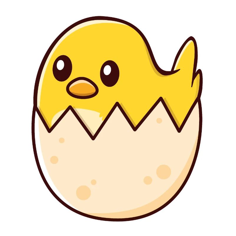 Hatching Chick