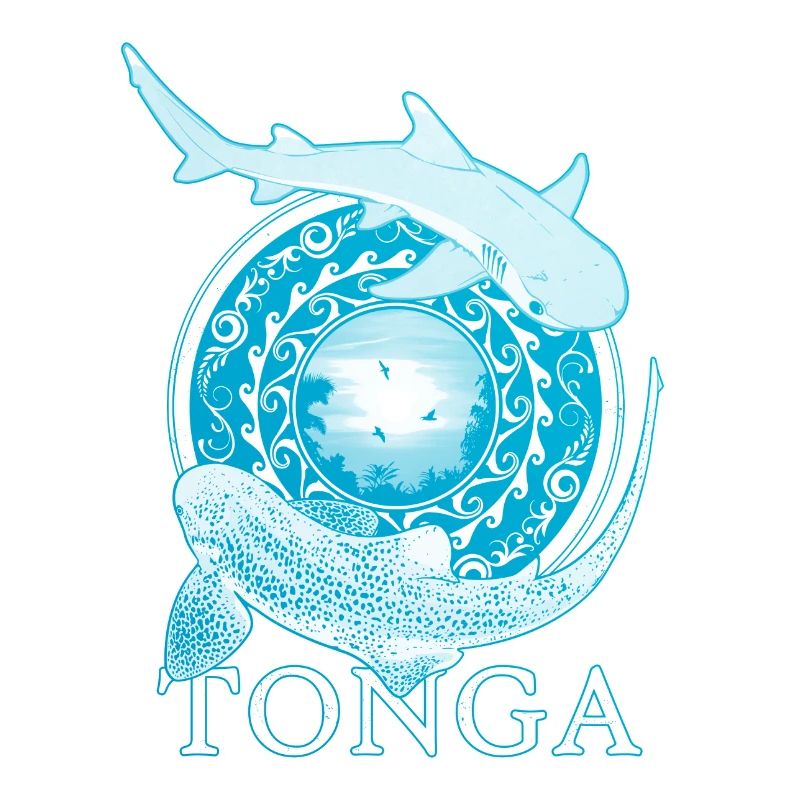 Tonga Zebrahai Weißspitzenriffhai
