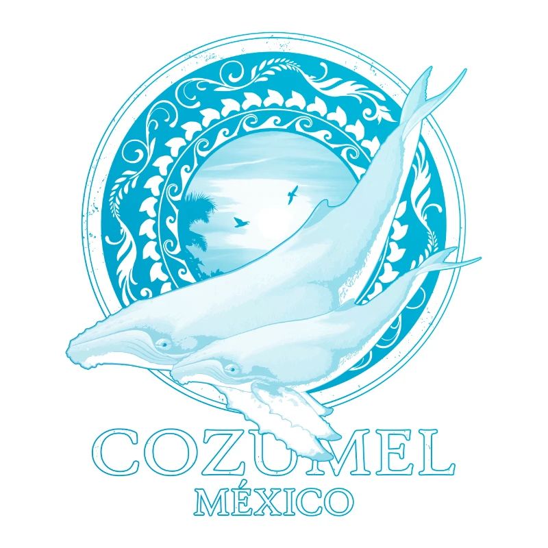 Buckelwale Cozumel Mexiko