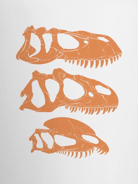 Torvosaurus Allosaurus Dilophosaurus