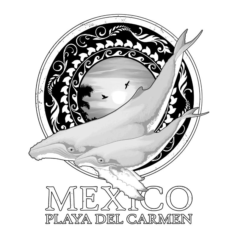 Buckelwale Playa del Carmen