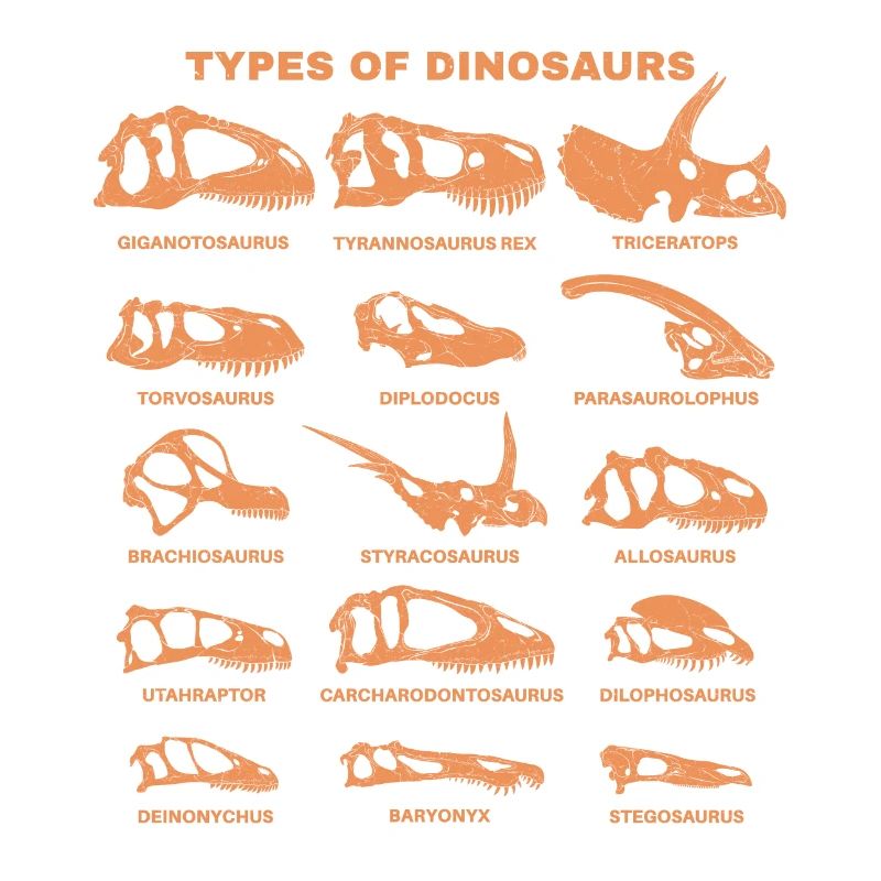 Dinosaurierarten Types of Dinosaurs