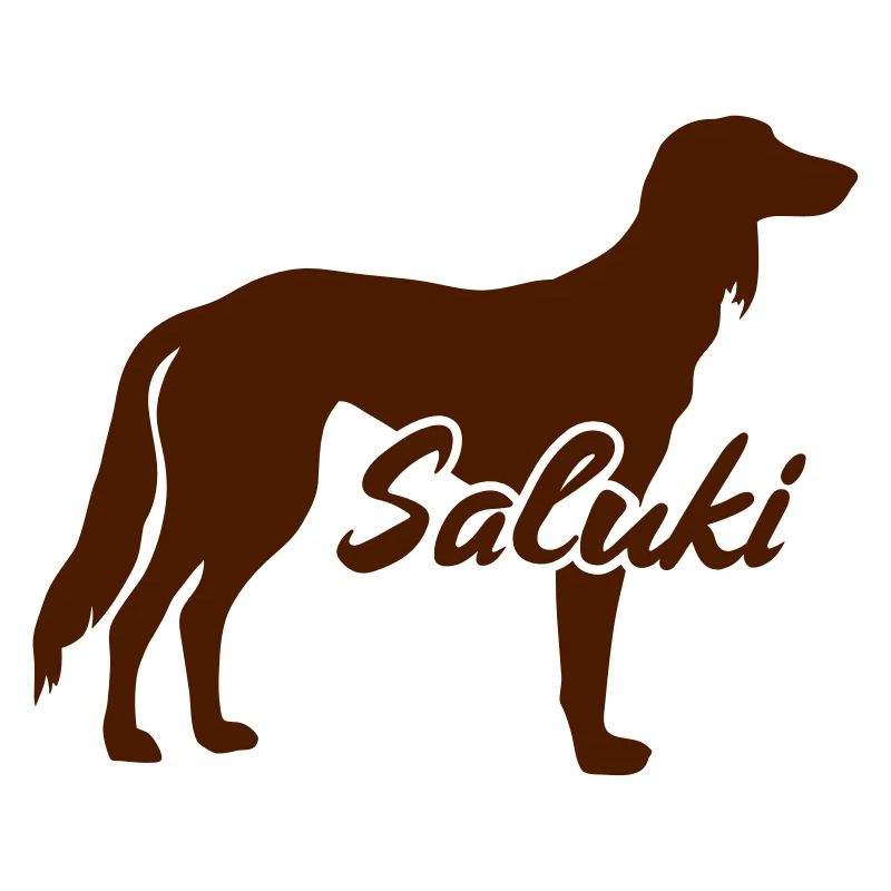Saluki