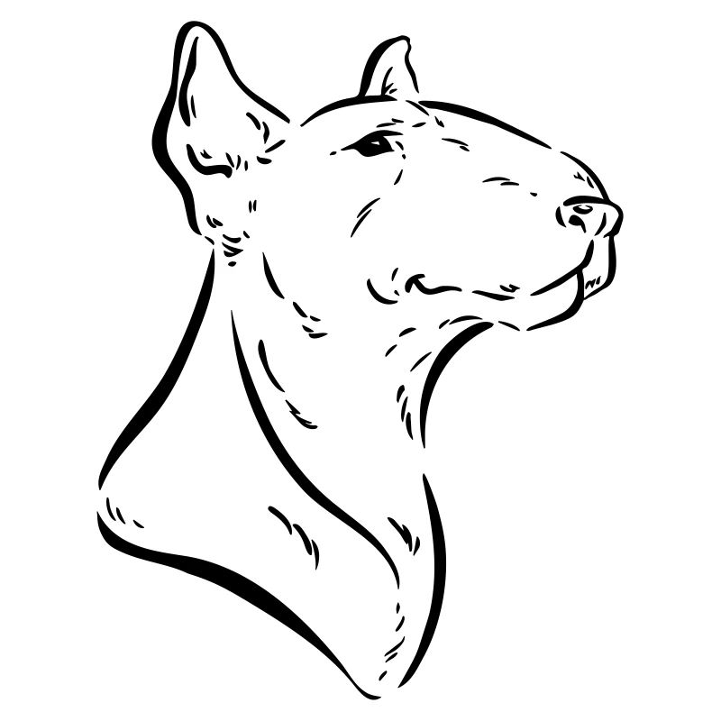 Bullterrier weiß personalisierbar Terrier