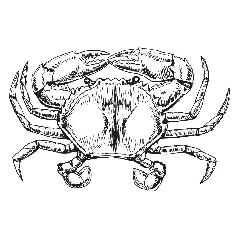 Krabbe