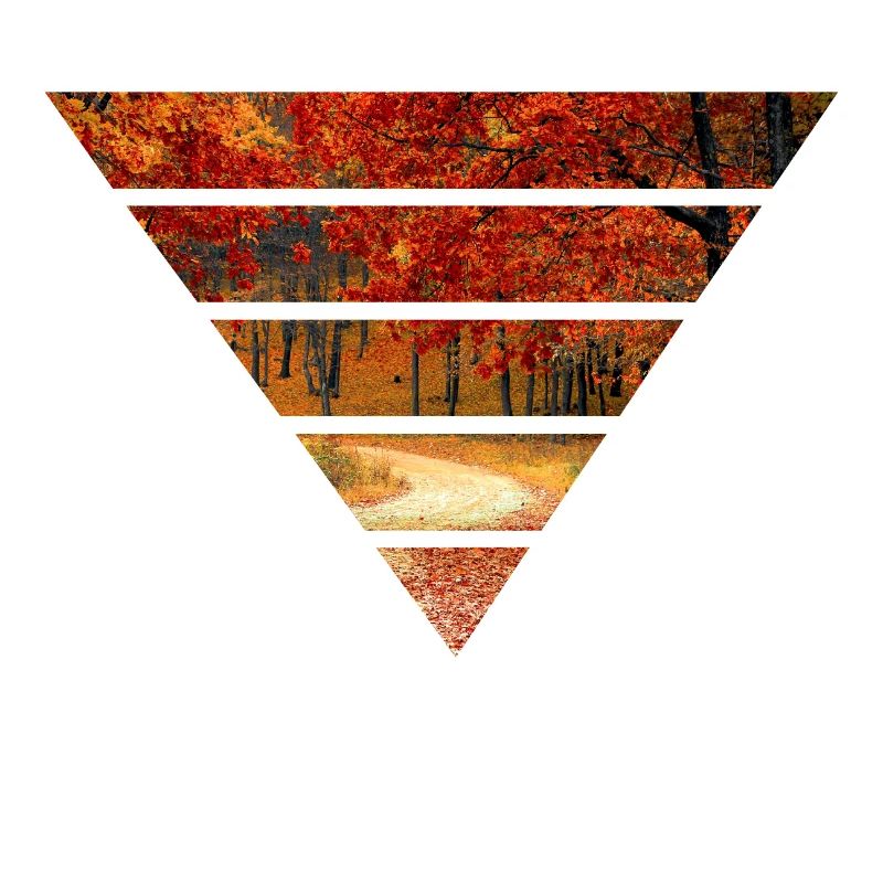 autumn forest