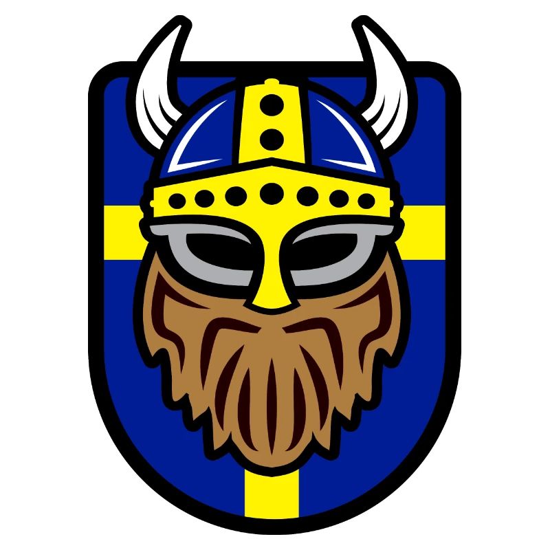 Vikings cool avec drapeau suédois