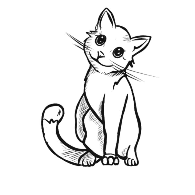 chat mignon