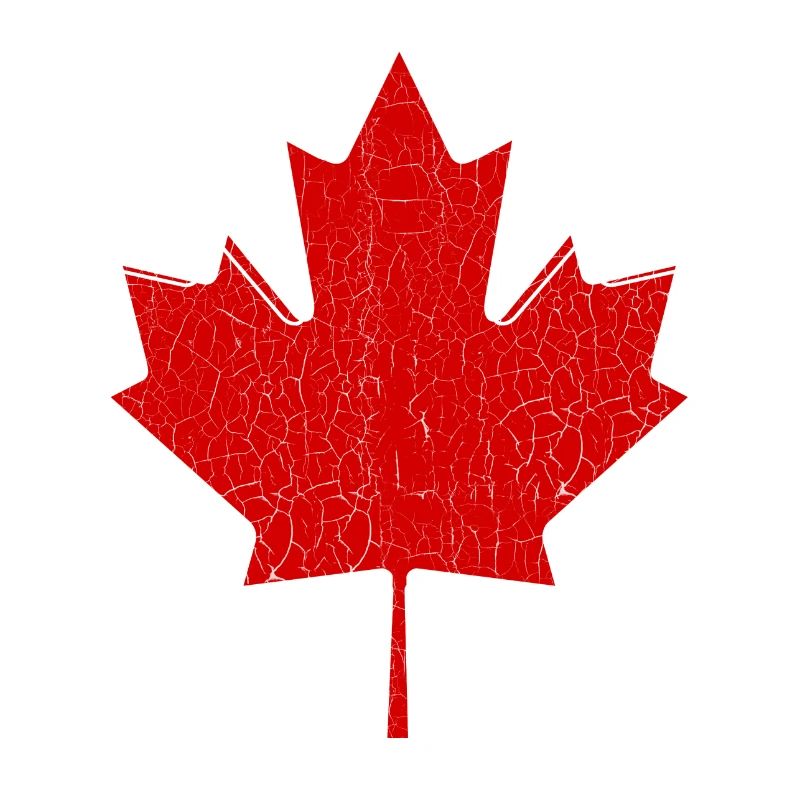 Canada maple leaf vintage logo modern