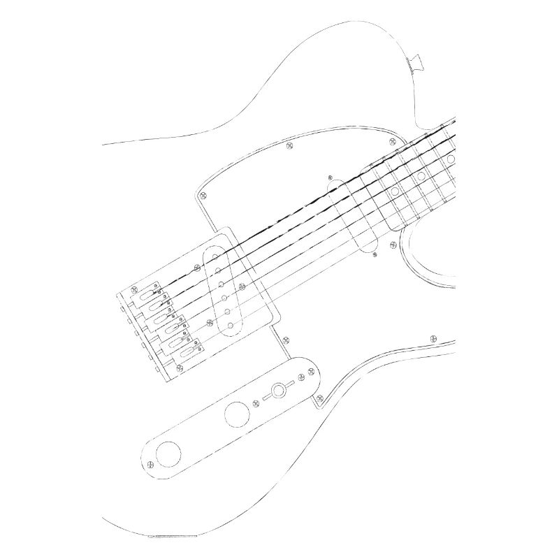 black Tele guitar