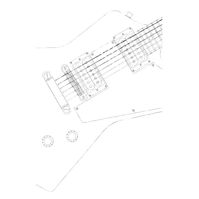 Schwarze Explorer-Gitarre
