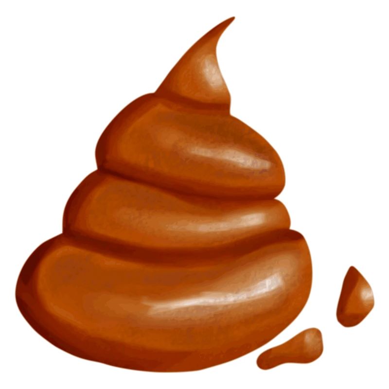 Shit and feces shit and stool
