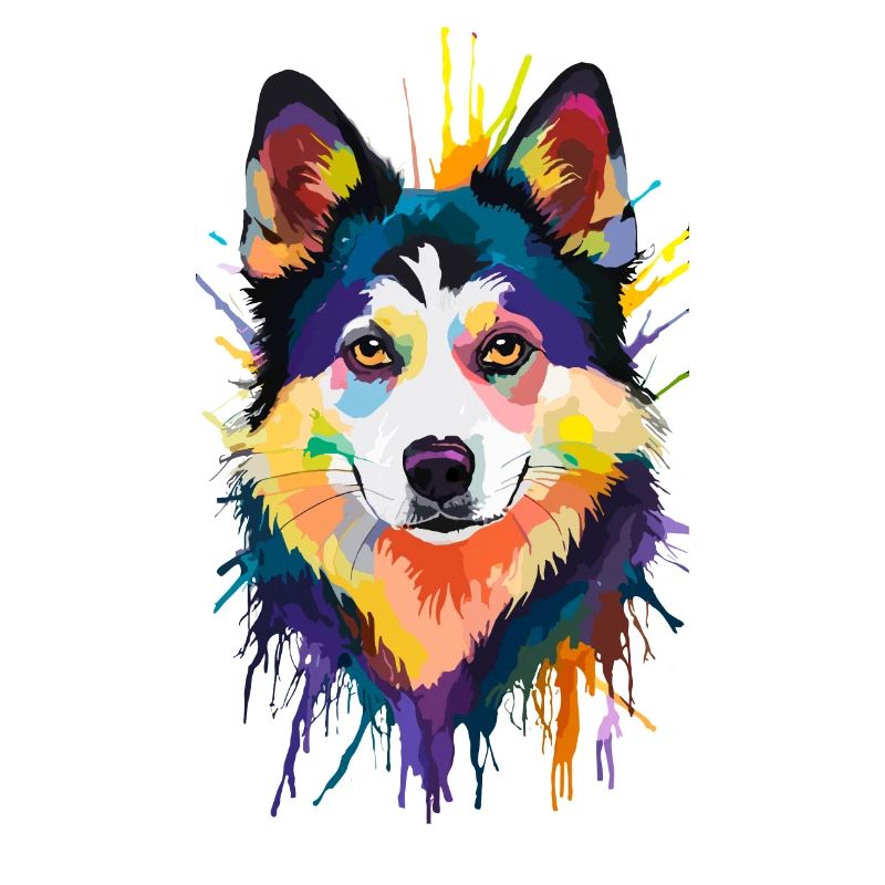 Alaskan Klee Kai