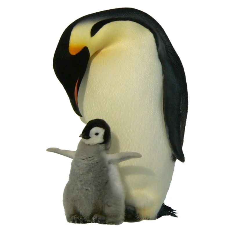 Pingouin avec bébé
