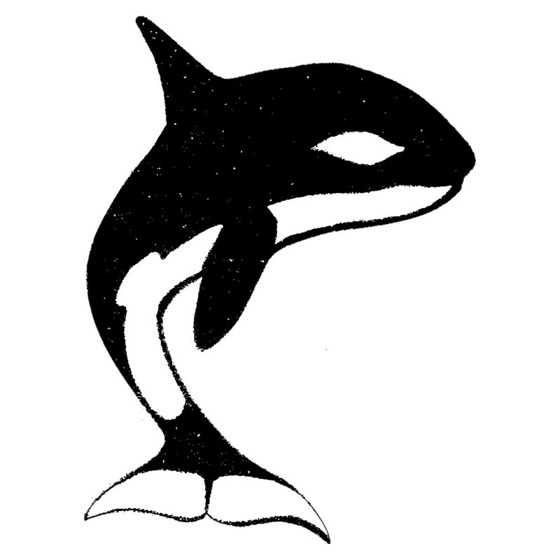 Baleine drôle