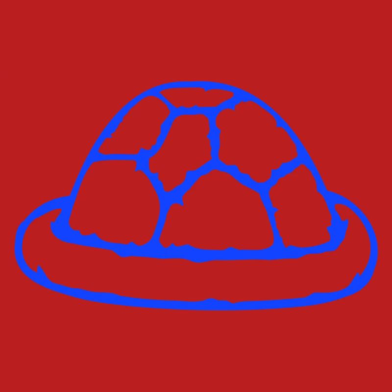 Turtle shell without turtle cute shell