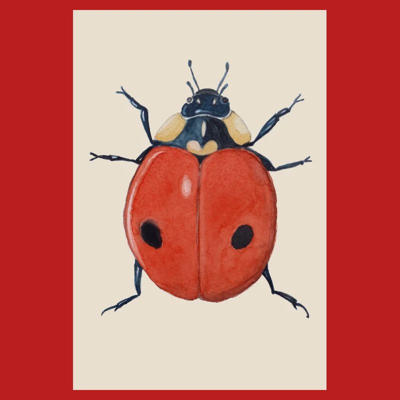 Affiche Ladybug 2