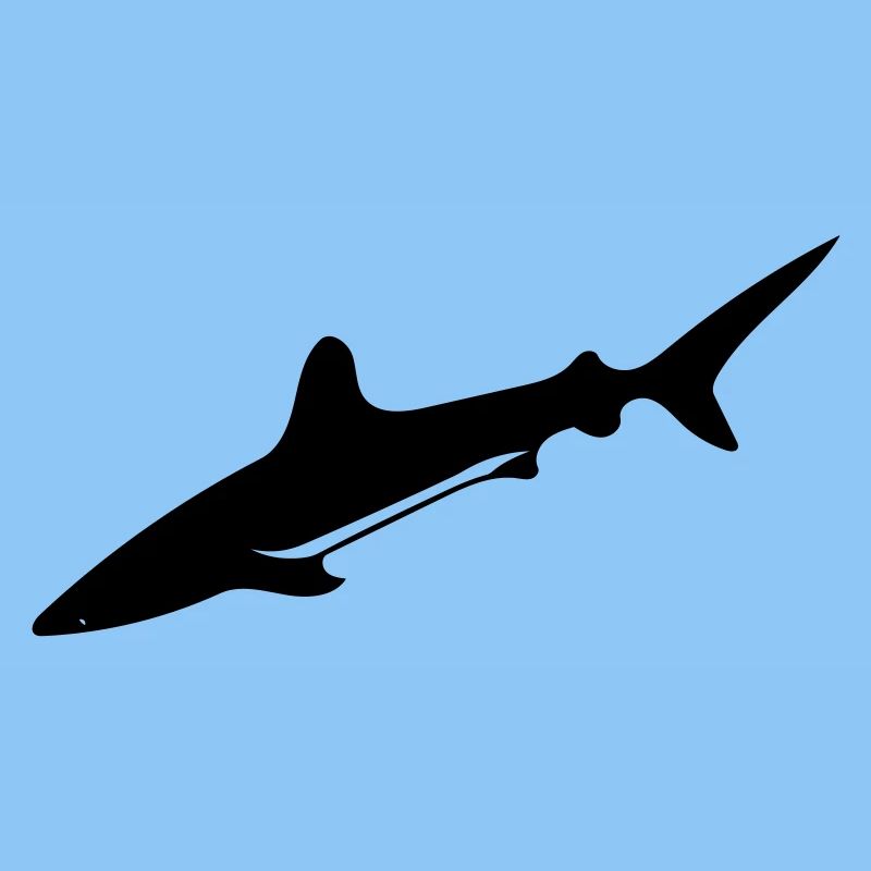 Shark - Vector Design