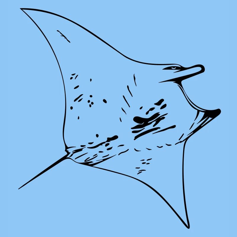 Manta Ray