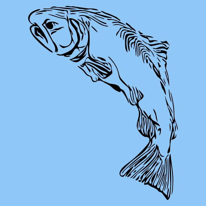 Salmon