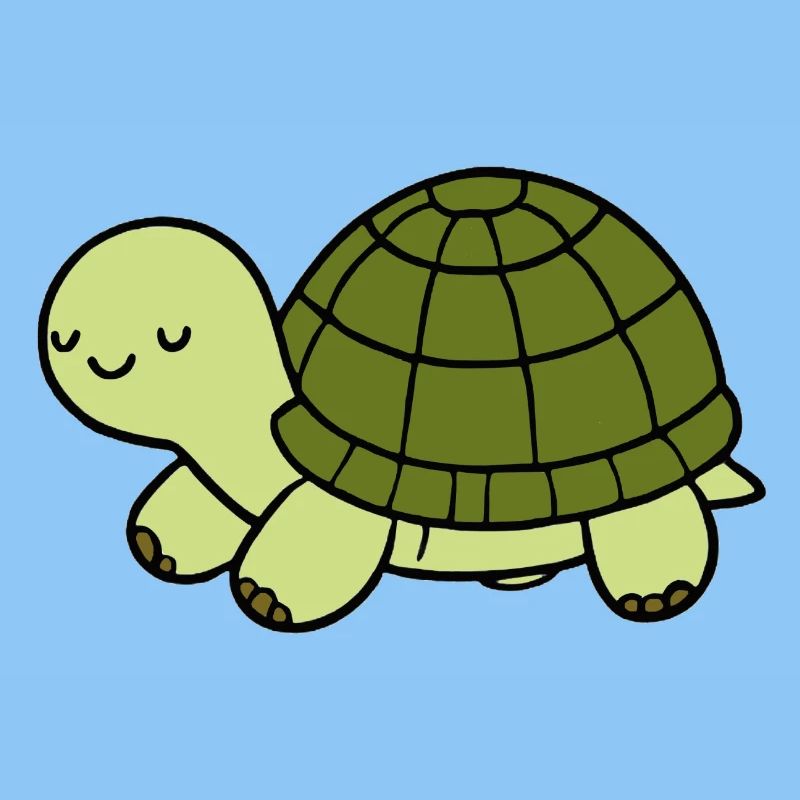 Schildkröte