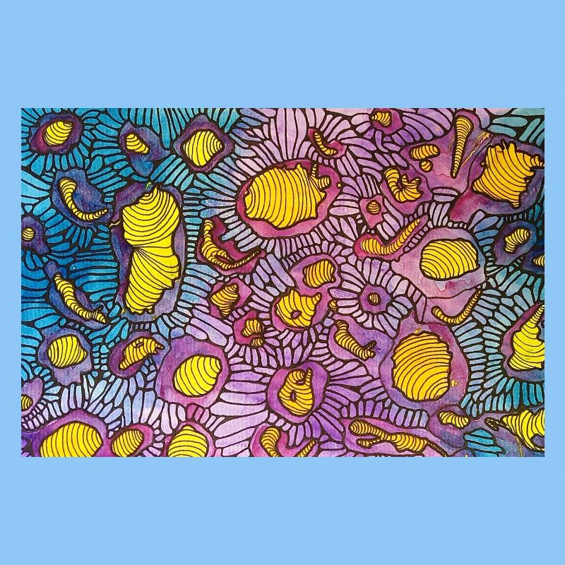 Micro