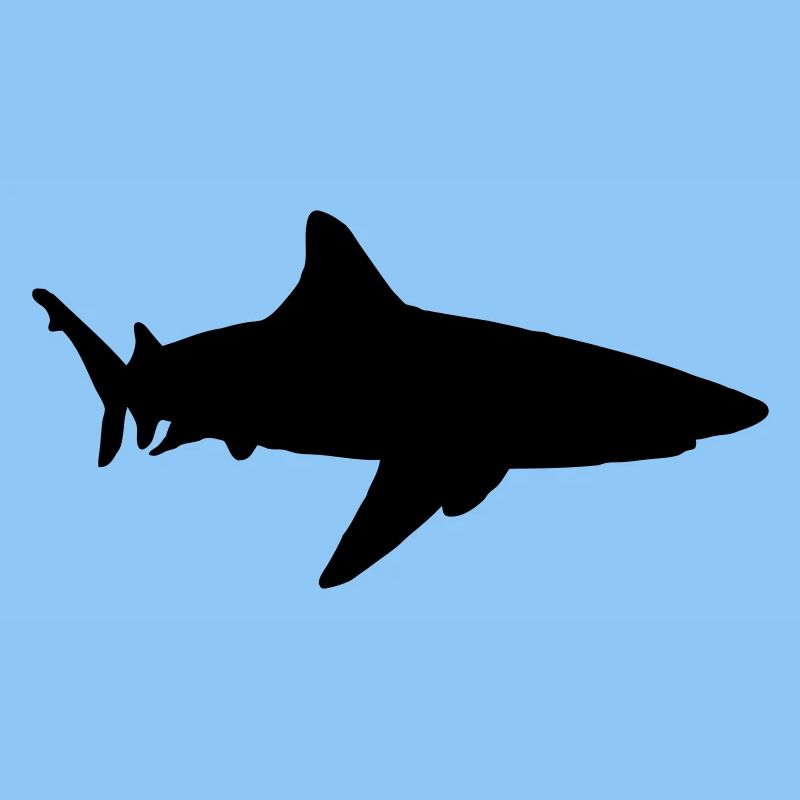 shark animal