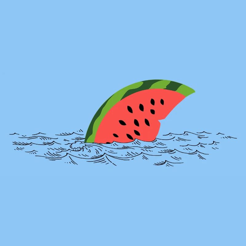Melon Fin – Un requin mignon en route