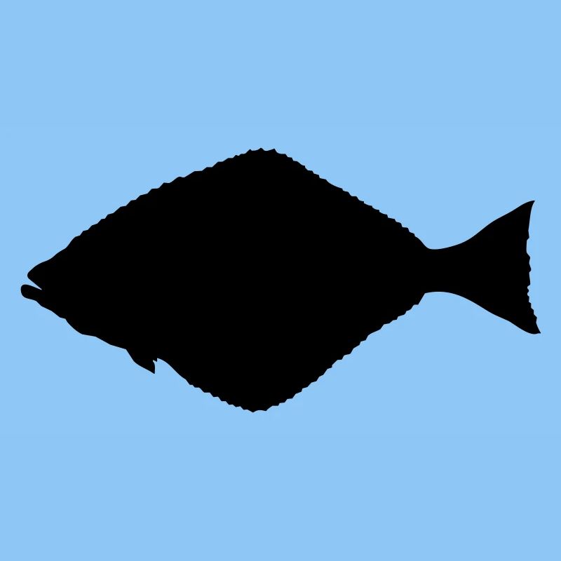 Heilbutt