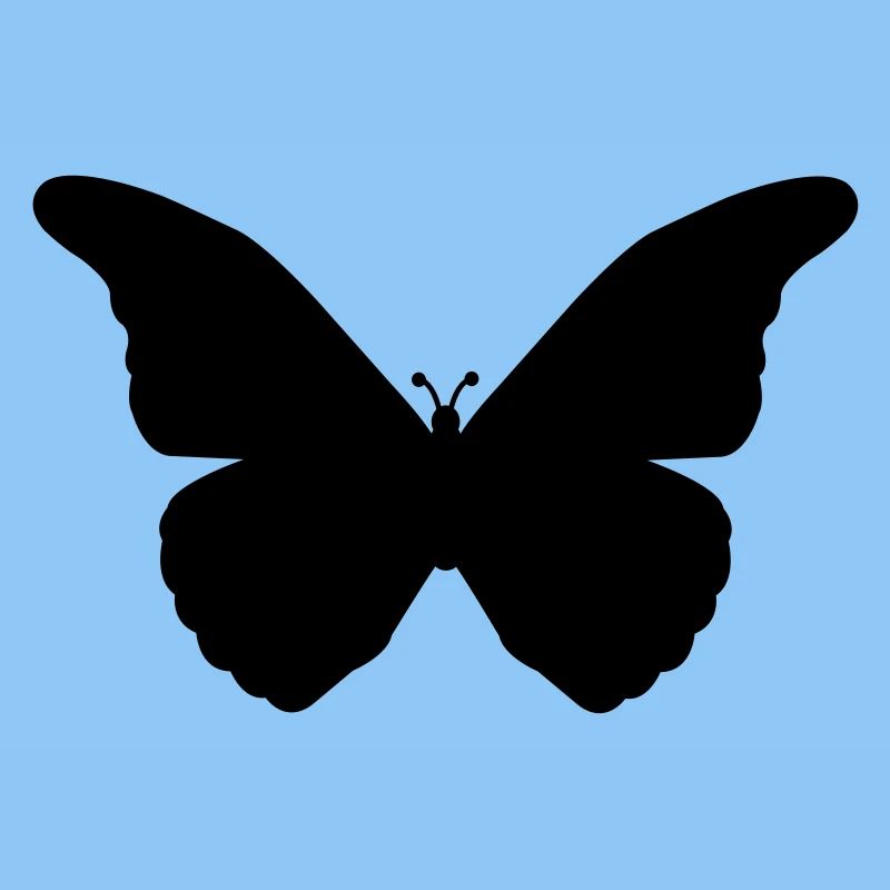 schmetterling