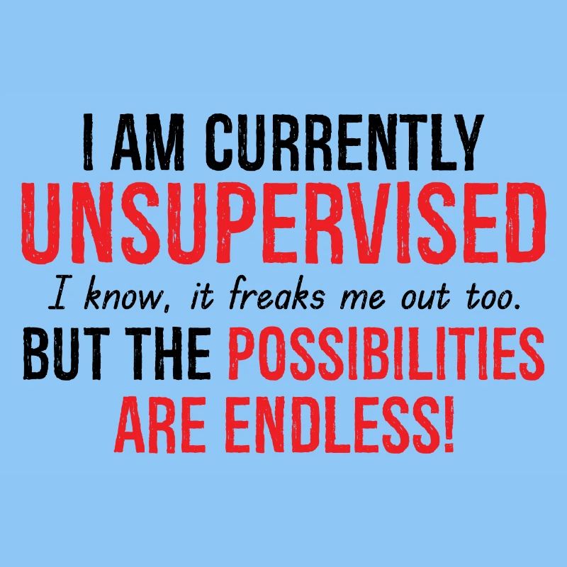 I Am Currently Unsupervised Possibilities Endless