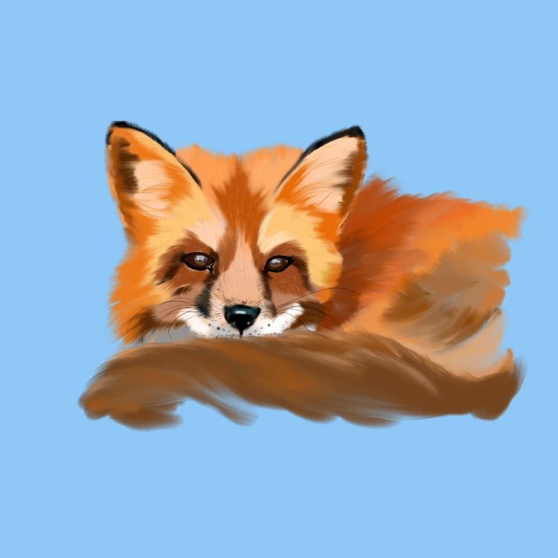 fox