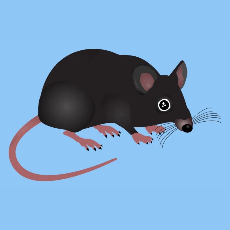 rat