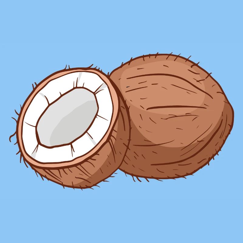 Cocotier Cocosque coconse cocons