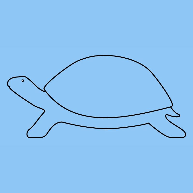 Schildkröte 