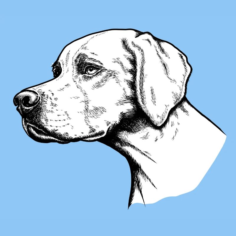 Pointer Portrait