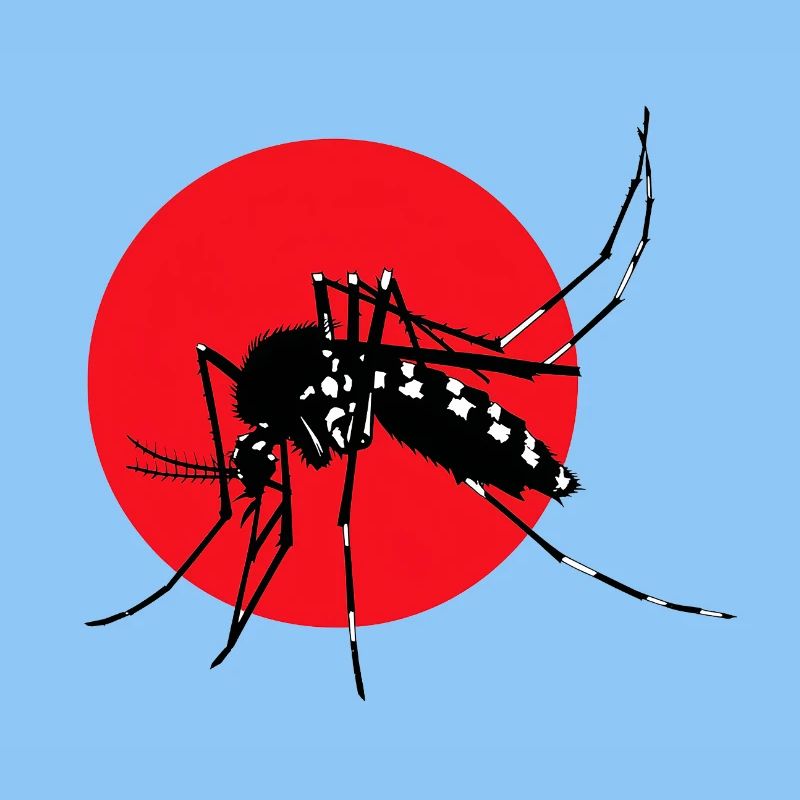 Mosquito