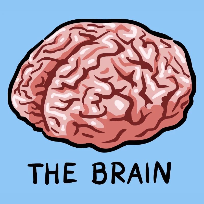 THE BRAIN