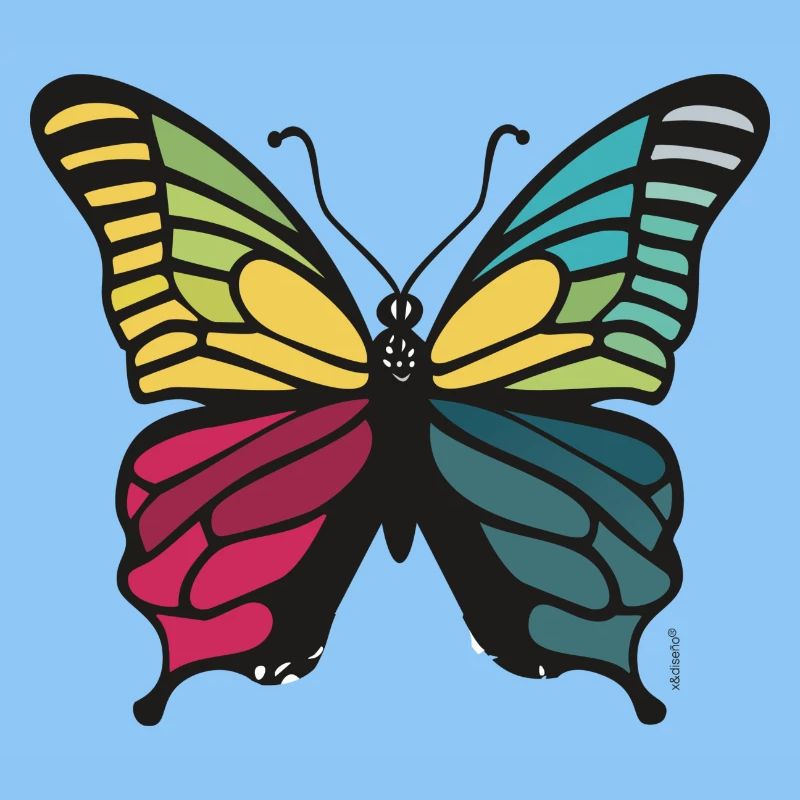 Vibrant rainbow butterfly