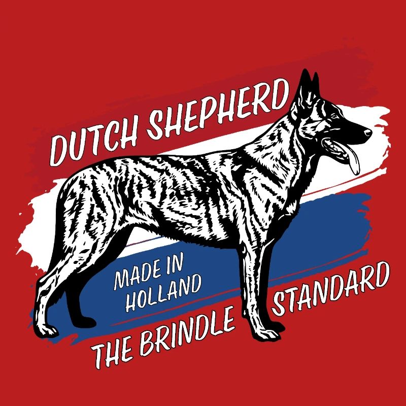 Dutch Shepherd – Dutchie