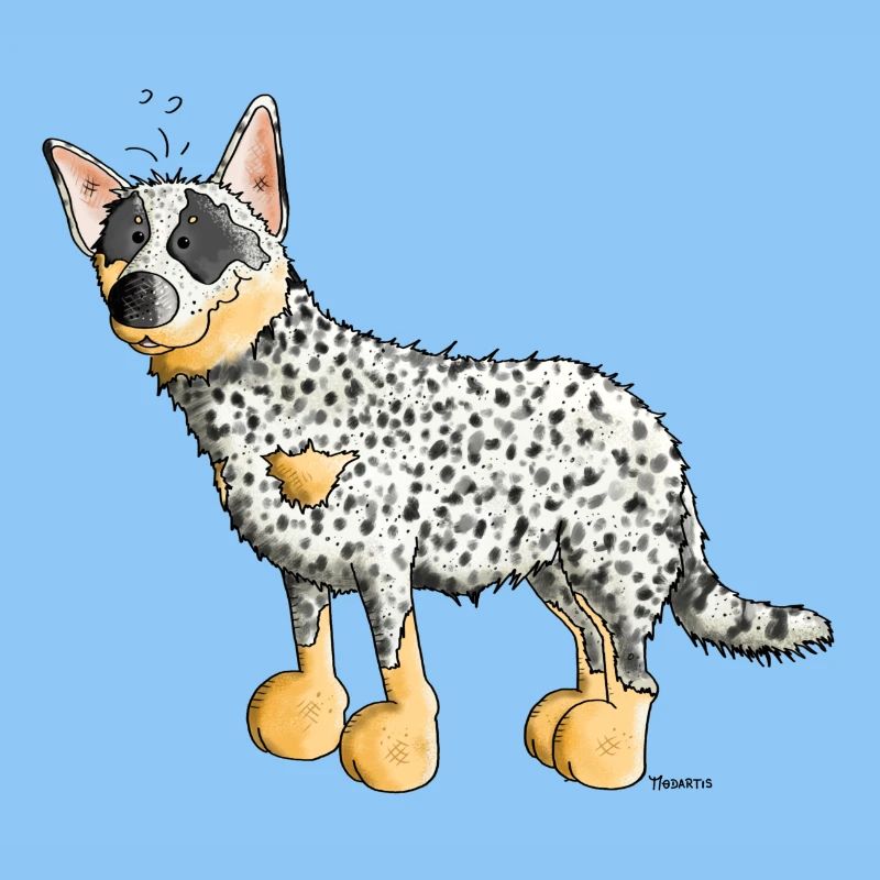Witziger Australian Cattle Dog - Hund