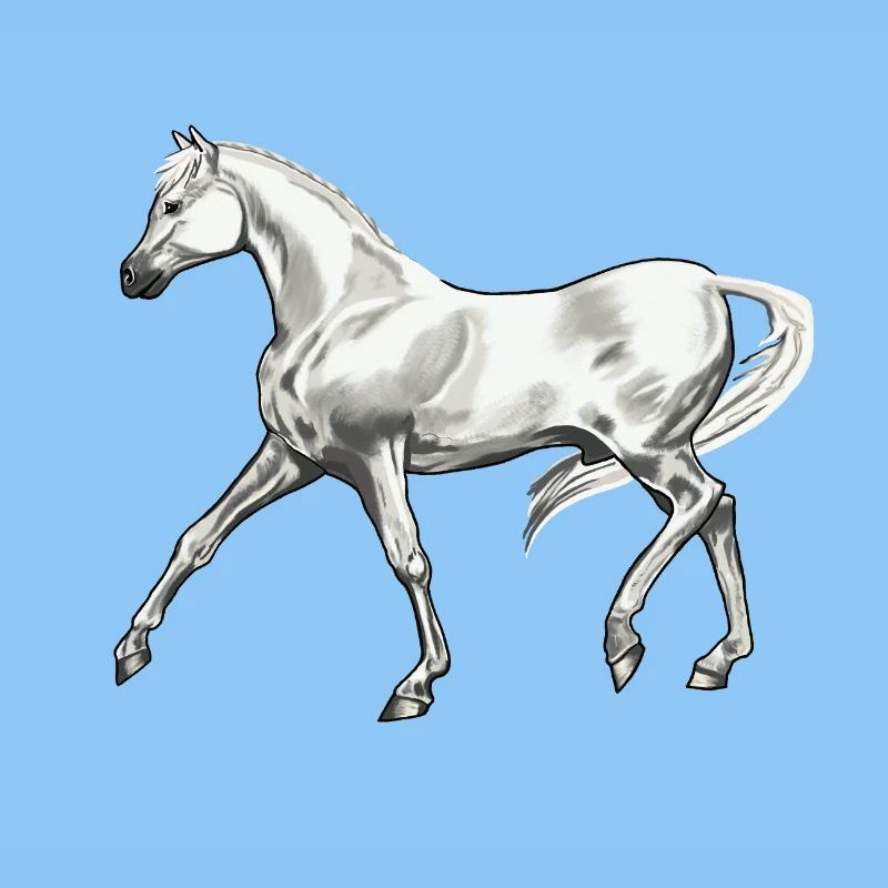 Trabender_Araberhengst