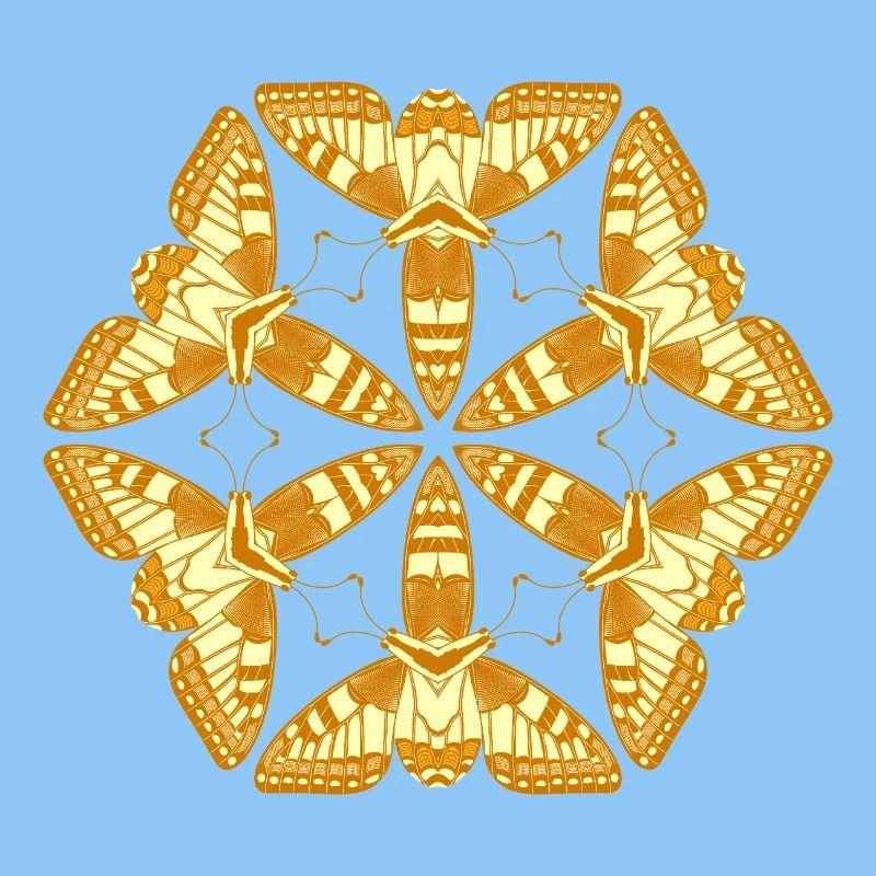 Papillons Mandala dorés – Insectes