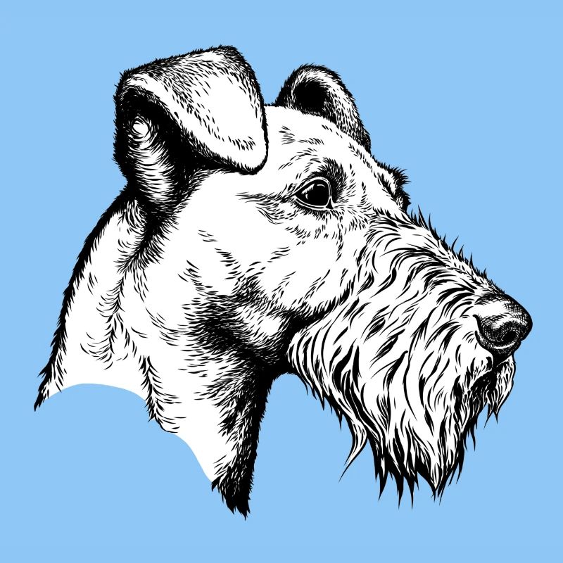 Irish Terrier Portrait