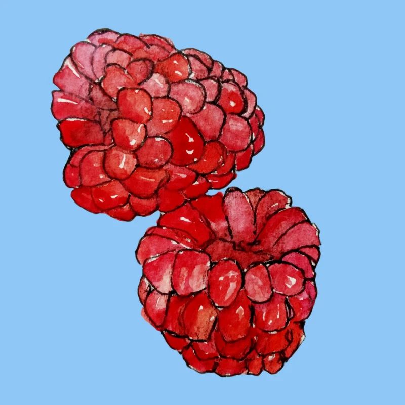 Himbeeren 