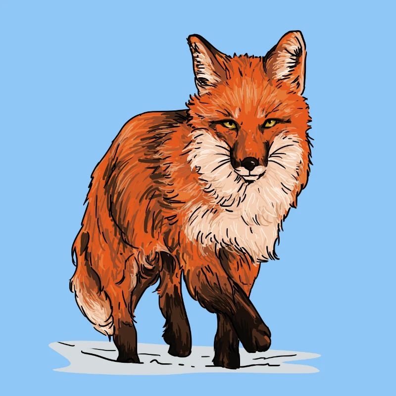 Renard dans la nature
