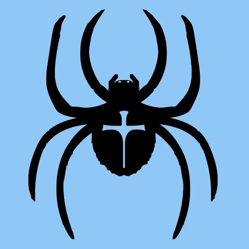 Spinne
