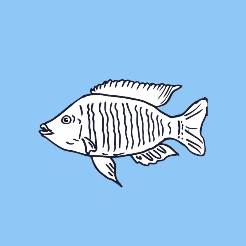 Cichlid poisson Malawi